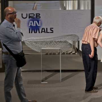 URBAN ANIMALS című kiállítás, Szombathelyi Képtár, 2023